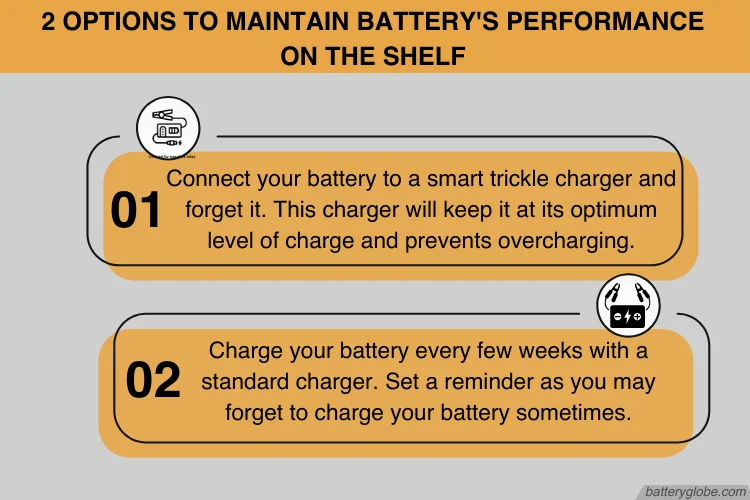 How to maintain a car battery sit unused